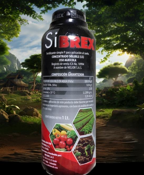 SiBREX en acción