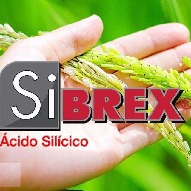 SiBREX® 500 mL
